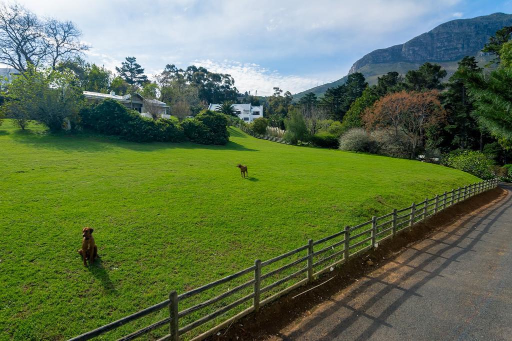 De Molen Guest House Somerset West Esterno foto